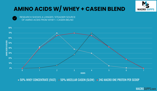 Why a Whey + Casein Blend is Superior (Scientific Research)